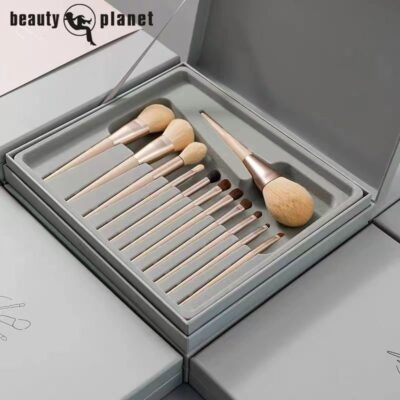 RANLADY professional brush set